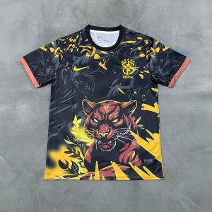 03fd5b7c.jpg Maillot 25/26 Brésil