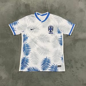 210673ba.jpg Maillot 25/26 Brésil