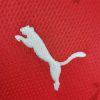 22-23 Rennais maillot domicile