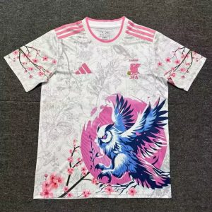 2bdea228.jpg Maillot 24/25 Japon Spécial