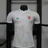 Maillot Pays de Galles ext rieur Coupe du monde 2026