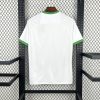 Maillot Irlande Concept 2026