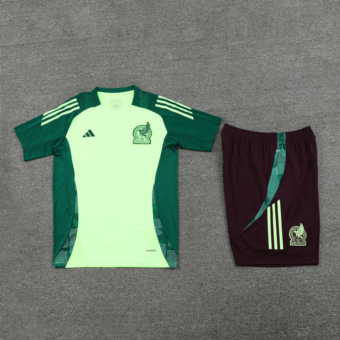 Ensemble Mexique 2025