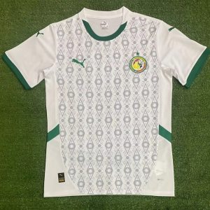 WhatsAppImage2024-12-18at11.04.40_1_0b1da5aa-1576-4809-ba9c-c889be169fd5.jpg Maillot 24/25 Sénégal Spécial