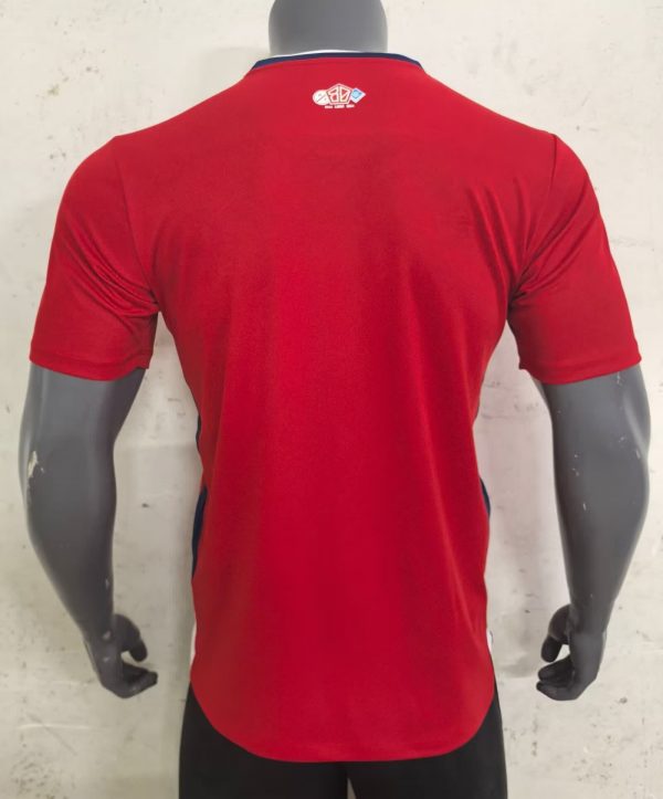 Lille maillot domicile 24/25