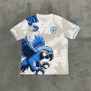 ccbb2b98.jpg Maillot 26/27 Brésil