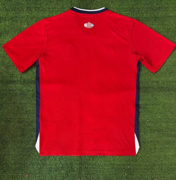 Lille maillot domicile 24/25