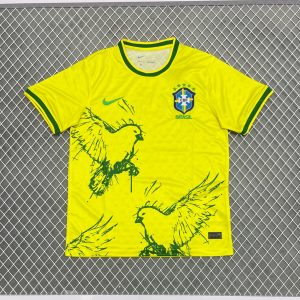 fa171629.jpg Maillot 25/26 Brésil