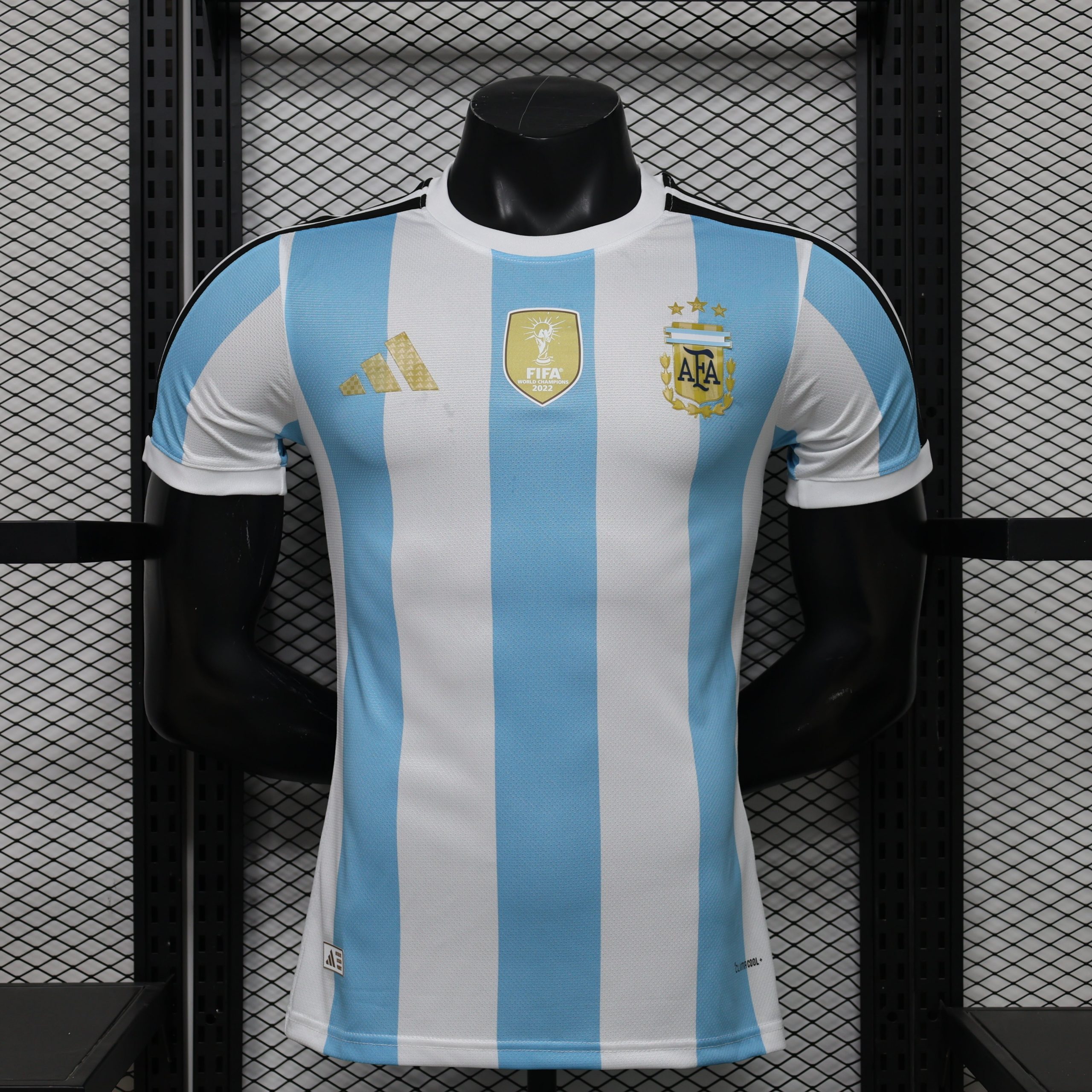 Maillot Argentine concept 2026