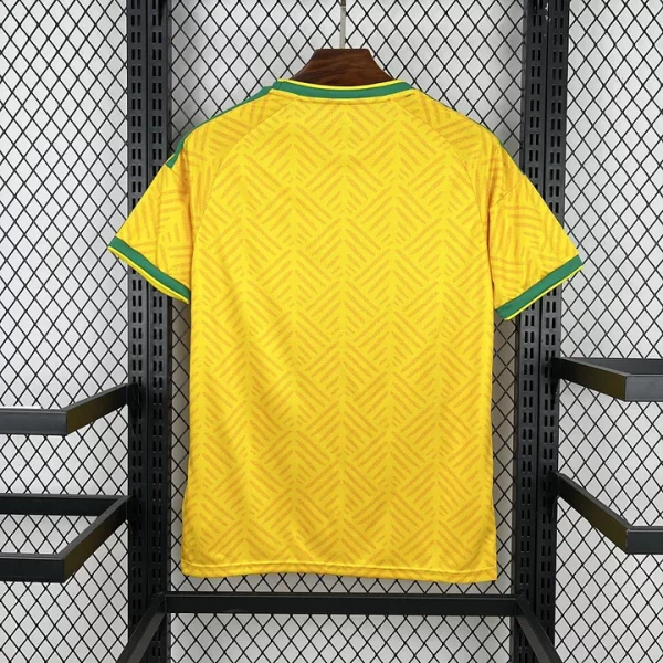 Afrique Du Sud maillot foot 2026 2027 Coupe Du Monde