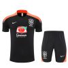Brésil ensemble 2025/26