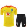 Brésil ensemble 2025/26
