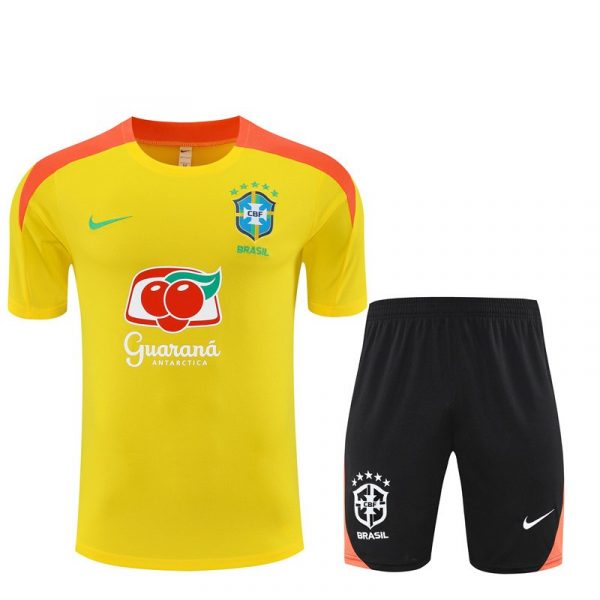 Brésil ensemble 2025/26