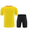 Brésil ensemble 2025/26