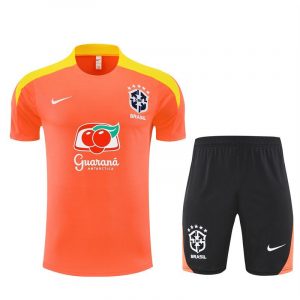 Brésil ensemble 2025/26